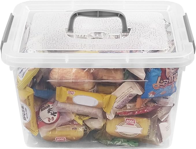 10 L Clear Plastic Storage Box - Image 4