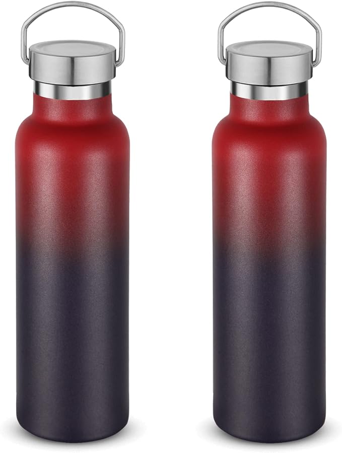 Neihepal 20 oz Insulated Water Bottles Bulk 2 Pack, Stainless Steel Double Wall by Neihepal