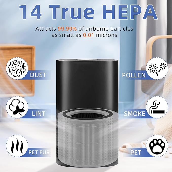 240 True HEPA Replacement Filter 14 - Image 4