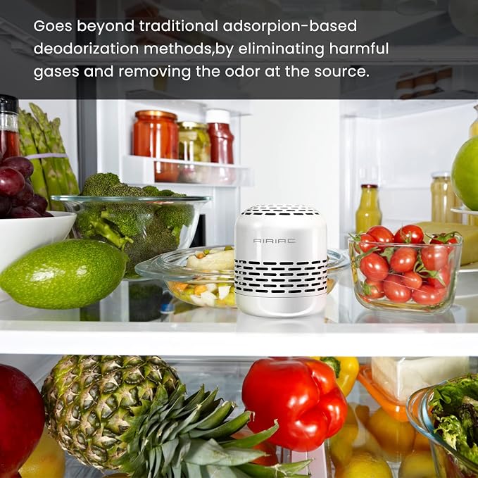 Fridge Deodorizer, 10-Year Refrigerator Deodorizer Odor Eliminator, Replaces - Image 2