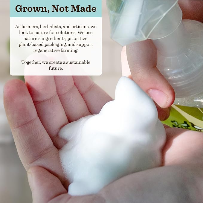 Moon Valley Foaming Hand Soap Refill Pouch, Two-Pack Mint Lavendar Soap - Image 4