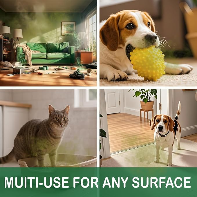 House of Zest FreshAir Home&Pets – Eliminate household odors, from trash - Image 2