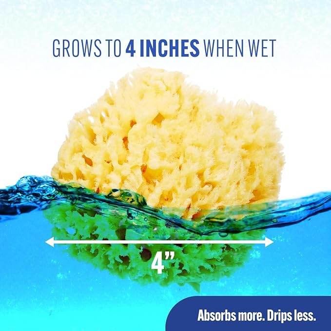 Baby Buddy Natural Bath Sponge, Ultra-Soft Sea Wool, Gentle on Baby's Skin - Image 4