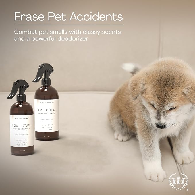 Muse Apothecary Home Ritual Active Odor Eliminator Spray - Image 5