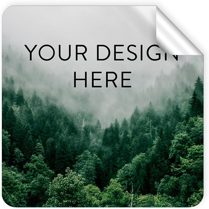 100 Custom Vinyl Stickers by DayStarCustomDesigns