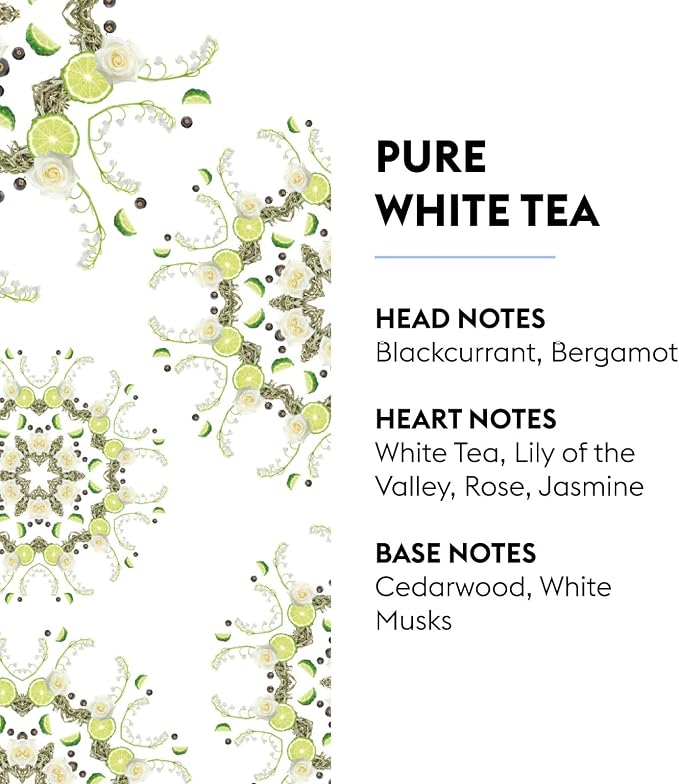 MAISON BERGER - Pure White Tea - Lampe Berger Fragrance Refill - Image 2