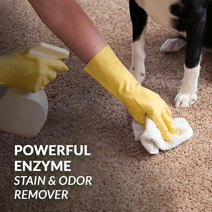 Strong Stain & Odor Eliminator - Image 7