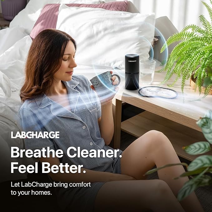 LabCharge Small Ionic Air Purifier - Image 4