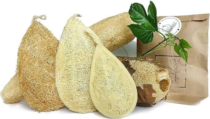 Natural Loofah Dish Sponge - Image 5