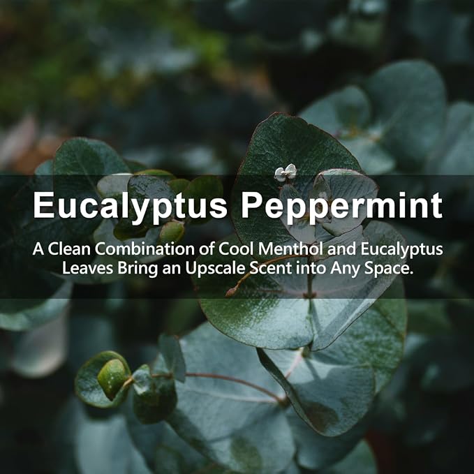 ROSE COTTAGE Large 12 Packs Eucalyptus Peppermint Hanging Closet Air Freshener - Image 5