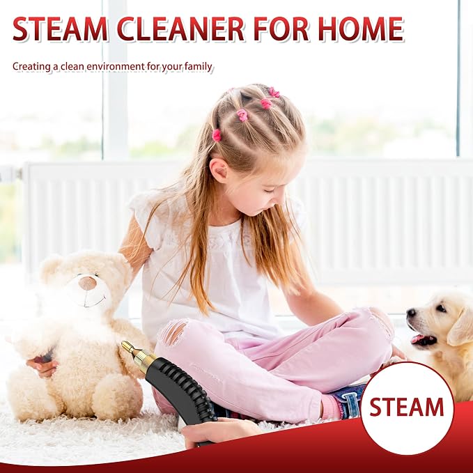 Portable Handheld Steam Cleaner, 2500W High Pressure Steam Cleaner - Image 6
