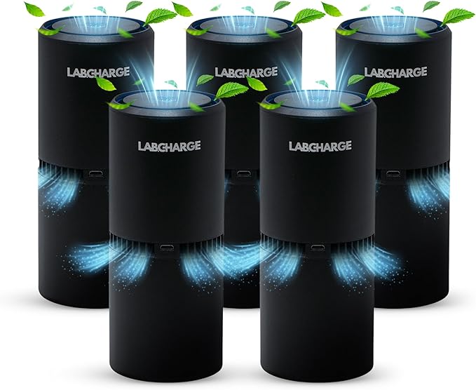 LabCharge Small Ionic Air Purifier by LabCharge