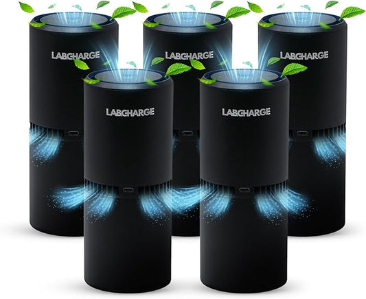 LabCharge Small Ionic Air Purifier by LabCharge