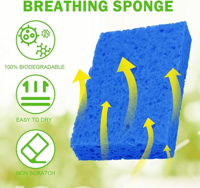 YoleShy Sponge Kitchen Natural Cellulose Sponges 10 Pack Compressed Sponges - Image 6