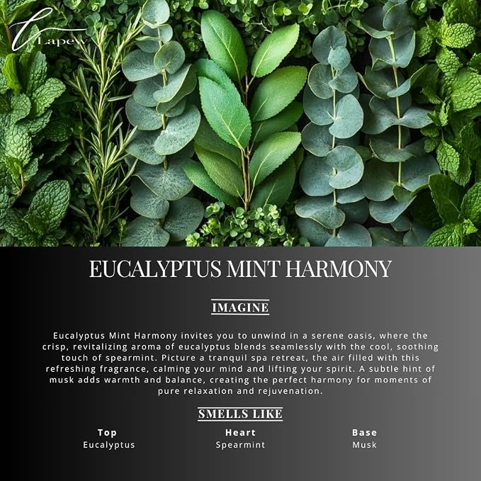 Eucalyptus Mint Harmony Carpet Freshener Powder Refill 36 oz | Powerful Odor - Image 2