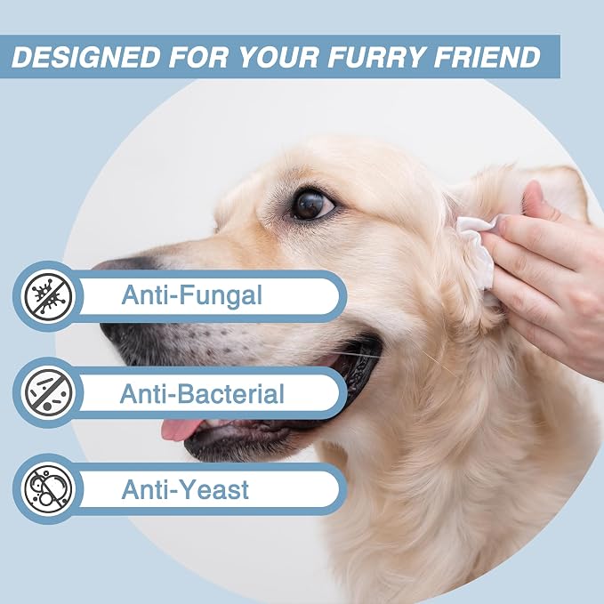 Antifungal and Antibacterial Wipes - Image 3