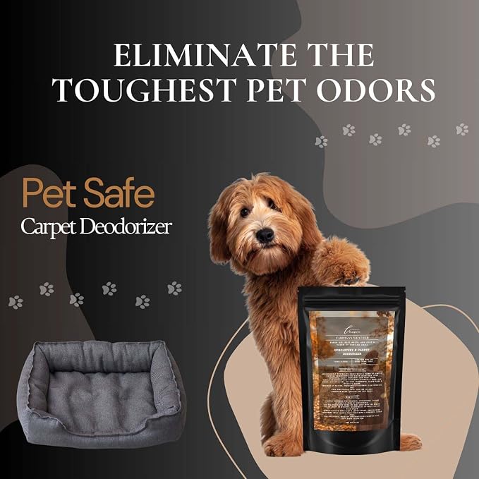 Cardigan Weather Carpet Freshener Powder: Powerful Odor Eliminator - Image 7