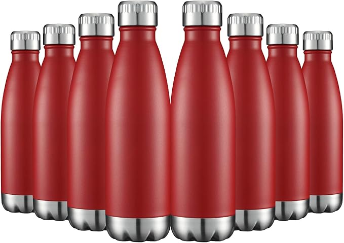 HASLE OUTFITTERS 17oz Stainless Steel Water Bottles Bulk, Vacuum Insulated by HASLEOUTFITTERS