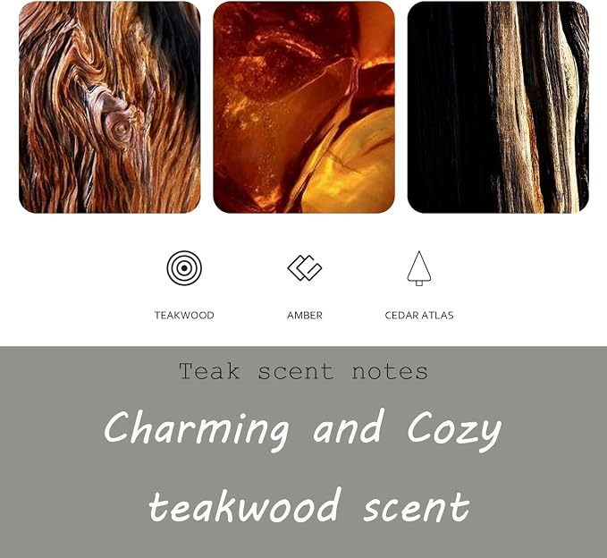 Car Air Freshener, Stone Air Freshener, Odor Eliminator, Teak Scent Refill - Image 4