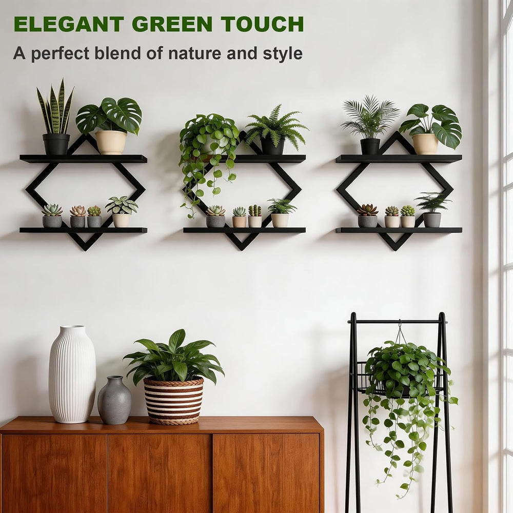 Set of 3 Wall Plant Holder, Black
