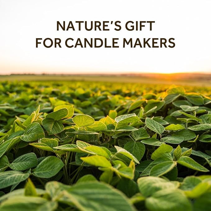 NORVENCE Soy Wax for Candle Making, Natural Soy Wax Flakes 2lb, Premium Candle - Image 2