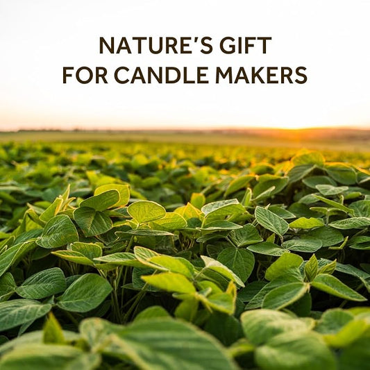 NORVENCE Soy Wax for Candle Making, Natural Soy Wax Flakes 10lb, Premium Candle - Image 2