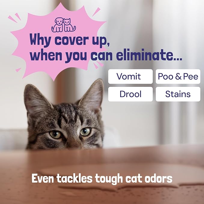 Sunny & Honey Pet Stain & Odor Miracle - Image 5