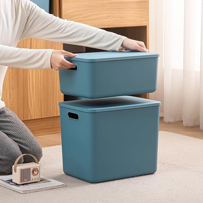 Plastic Storage Bins with lids, Storage Baskets, Container with handle