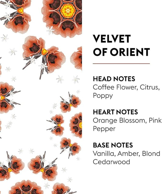 MAISON BERGER Velvet of Orient Refill – 1L Lampe Berger Fragrance Oil - Image 2
