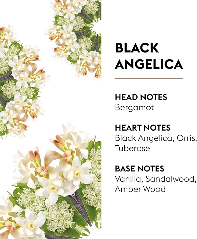 MAISON BERGER - Black Angelica - Lampe Berger Fragrance Refill - Image 2
