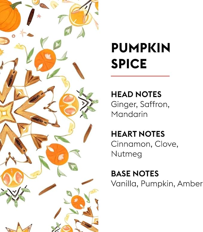 MAISON BERGER Pumpkin Spice – Home Fragrance Refill, 1L Warm Autumn Aroma – Air - Image 2