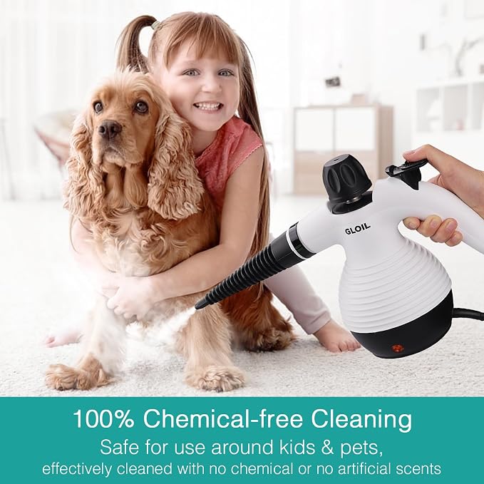 Handheld Steam Cleaner, Steamer - Image 3