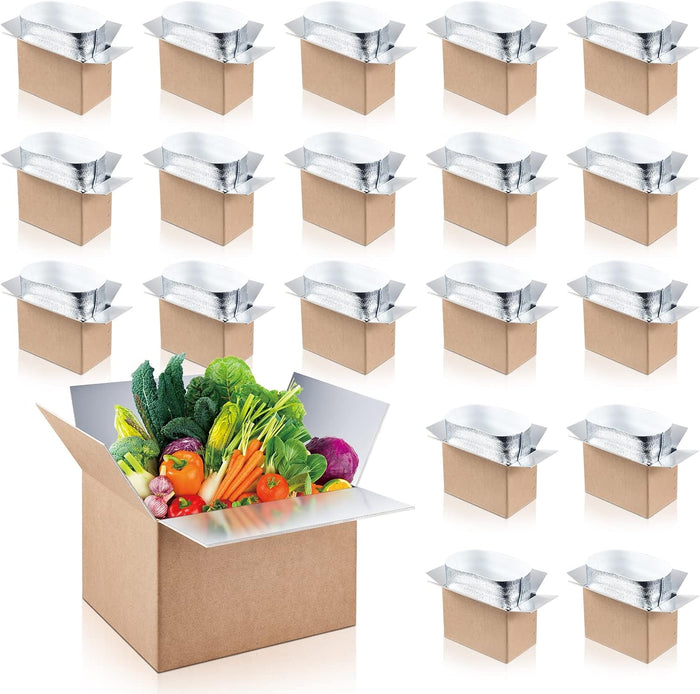 Nuanchu 20 Pieces Insulated Shipping Boxes, 9" x 5" x 6" Double Insulated with Aluminum Foil Liner Thermal Insulation Cold Reusable Mailing Box for Cold Food, Shipping, Mailing, Packing