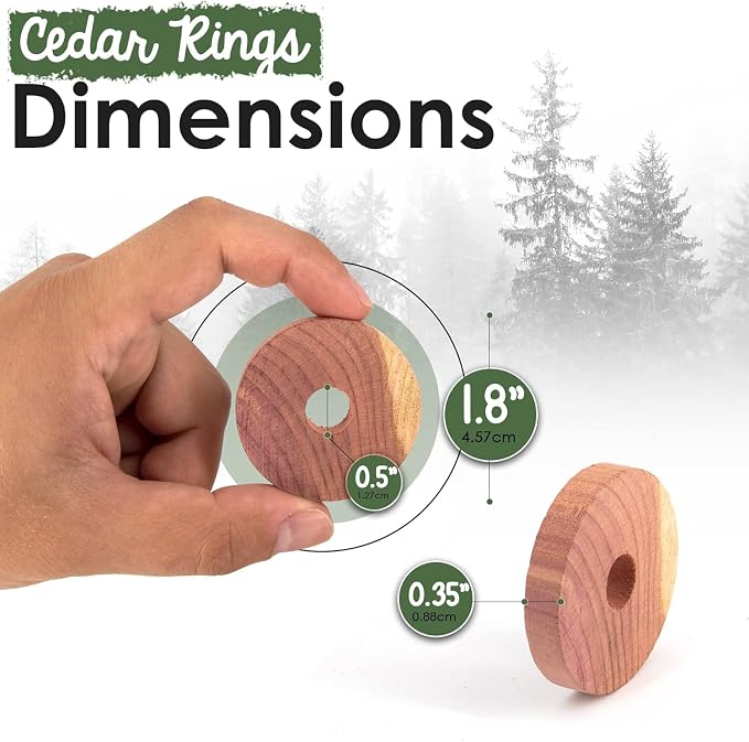 ecoKiwi Cedar Blocks for Clothes Storage - Image 6