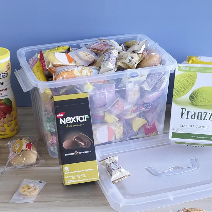 10 L Clear Plastic Storage Box - Image 6