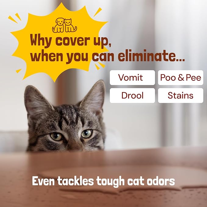 Sunny & Honey Pet Stain Remover & Enzyme Cleaner - Image 5