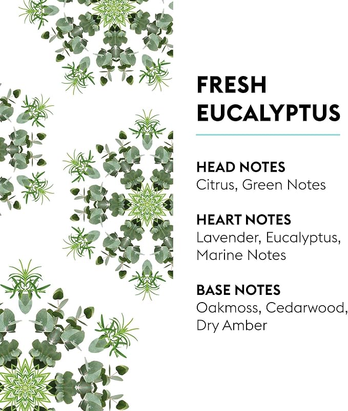 MAISON BERGER - New Fresh Eucalyptus - Lampe Berger Fragrance Refill - Image 2