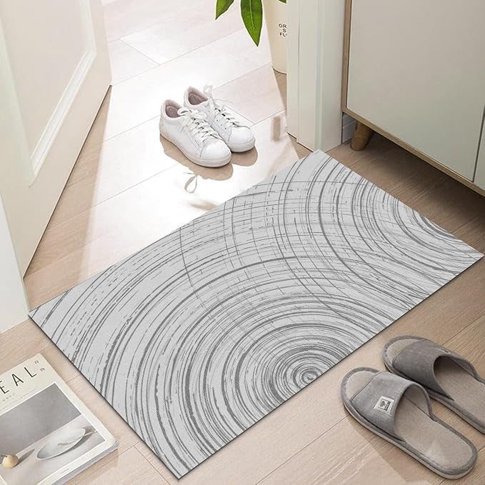 Ultra Thin Door Mat Indoor Entrance, 1/10 in Thin Door Mats by LYGLIGH