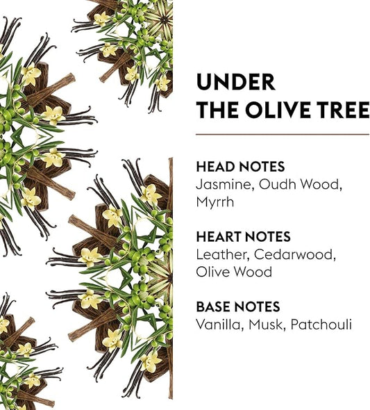 MAISON BERGER - Under The Olive Tree - Lampe Berger Fragrance Refill - Image 2