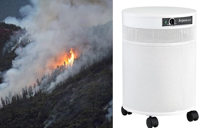 Airpura V600 Air Purifier for Home, V600 True HEPA Filter, Helps to eliminate - Image 3