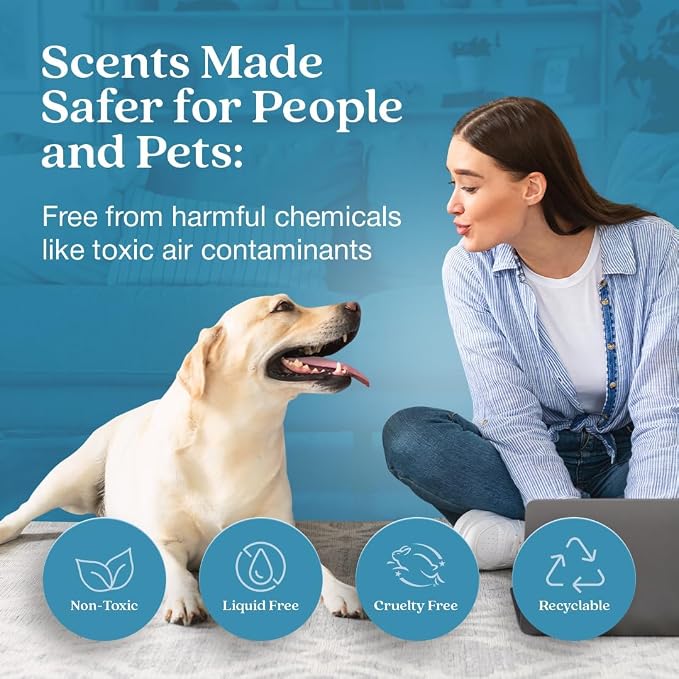 Enviroscent Non-Toxic Air Freshener - Image 2