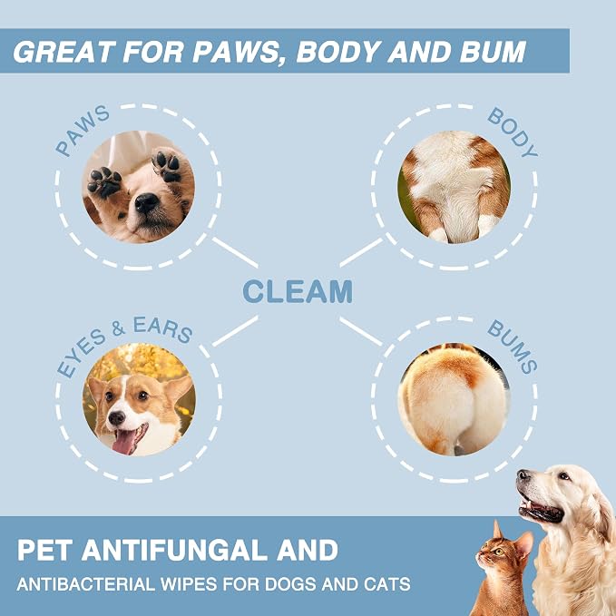Antifungal and Antibacterial Wipes - Image 5