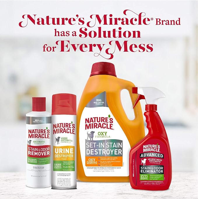 Nature's Miracle Stain and Odor Remover - Image 6