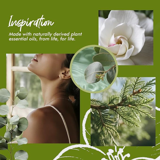 Fragrant Room Spray, Fir Grove, Eucalyptus Leaves, Gardenia Bloom, 3 x 3.4 fl oz - Image 2