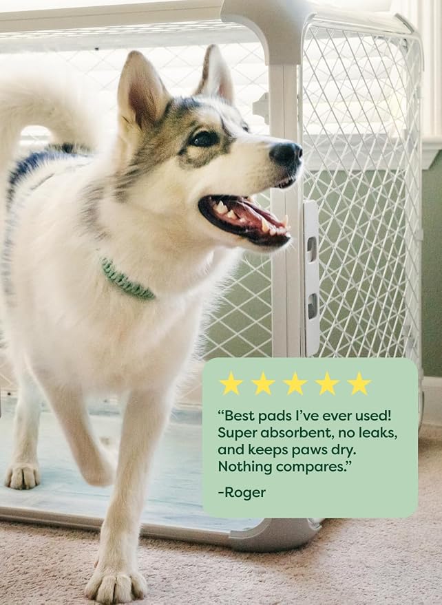 Earth Rated Max Absorbency Puppy Pee Pads - Image 9