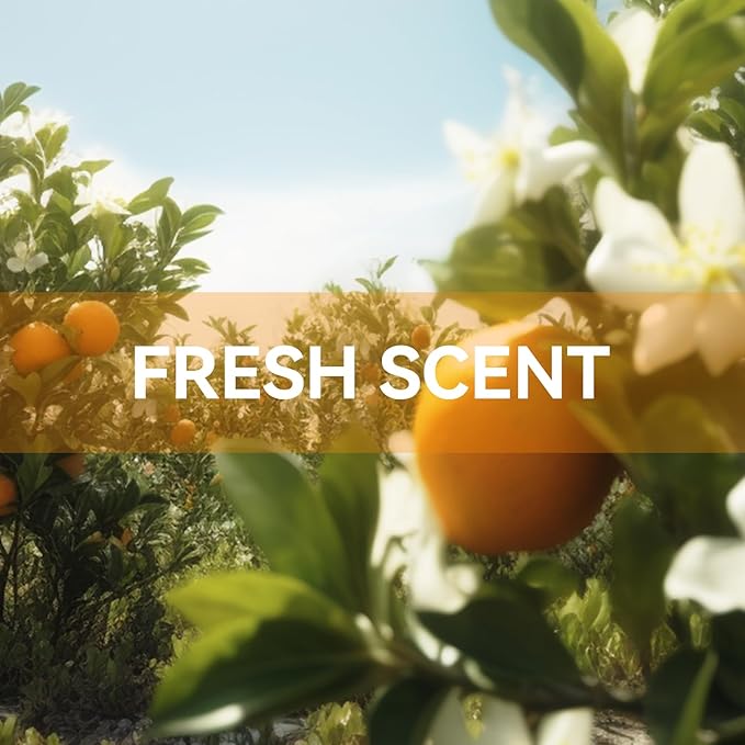 MYARO 12 Packs Orange Blossom Scented Sachets - Image 2