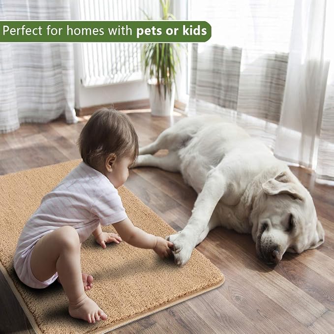 REFETONE Indoor Door Mat, Front Back Door Mat, Non-Slip Absorbent Resist Dirt - Image 5