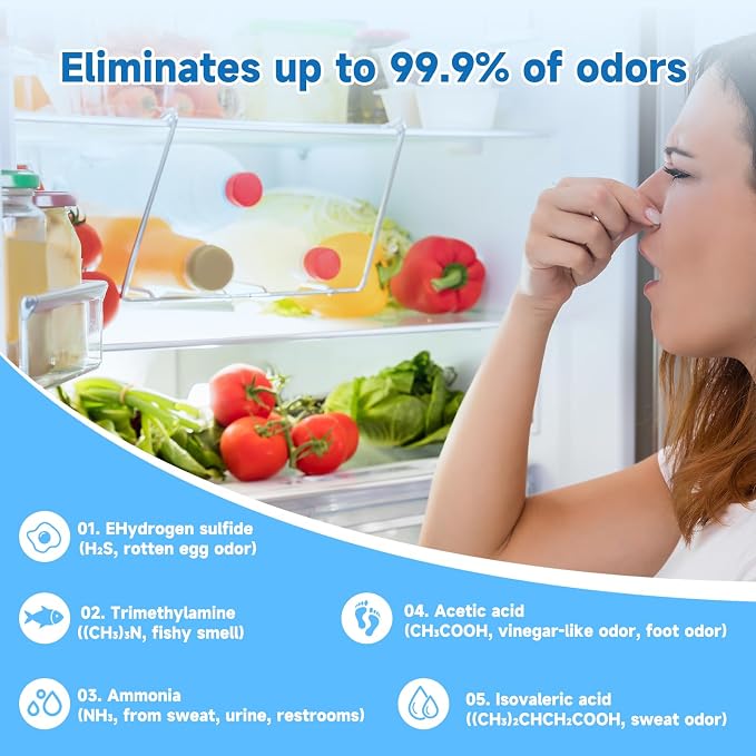 Refrigerator Deodorizer 3 Pack, Natural Plant Fridge Deodorizer More Effective - Image 2