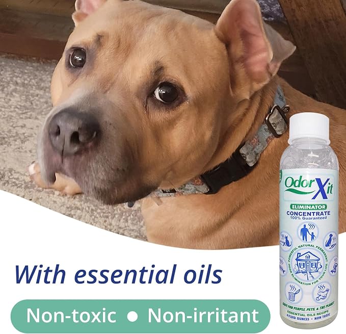 Concentrated Pet Urine Odor Eliminator, Dog Poo and Urine Smell, Versatile & - Image 4