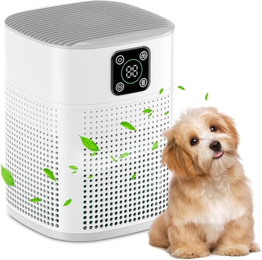 Air Purifiers for Bedroom, Honeyuan H13 HEPA Air Purifier for Home Large Room by HONEYUAN
